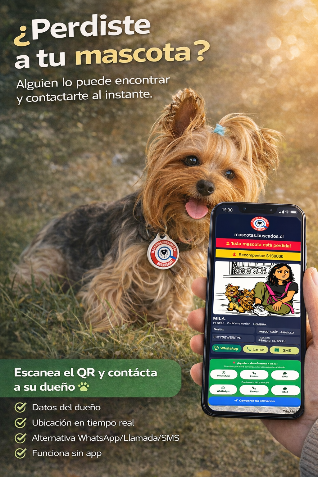 Medalla para mascotas QR